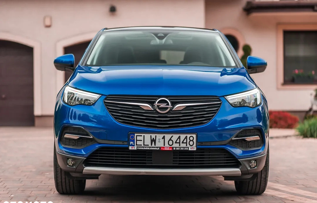 Opel Grandland X cena 68900 przebieg: 124624, rok produkcji 2018 z Mielec małe 781